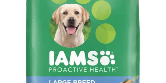 Iams Proactive Health Large Breed Chicken and Whole Grain Rice